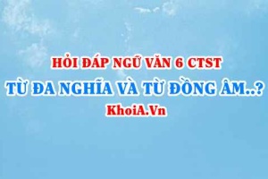 Từ đa nghĩa và từ đồng âm là gì? ví dụ từ đa nghĩa và từ đồng âm? Ngữ văn lớp 6 CTST